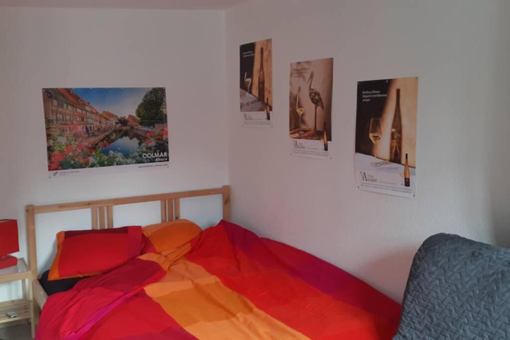 Gite De Benedicte Ancienne Douane Colmar Exterior foto