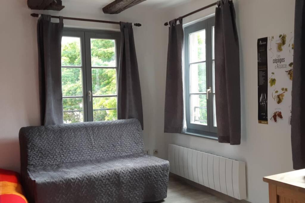 Gite De Benedicte Ancienne Douane Colmar Exterior foto